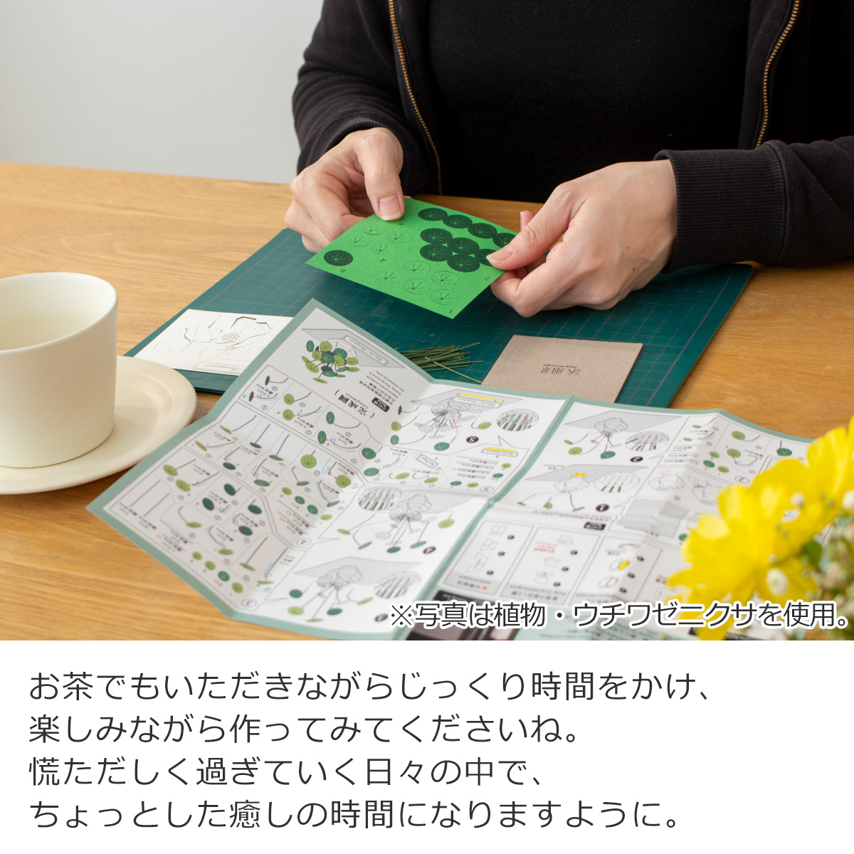 商品画像14