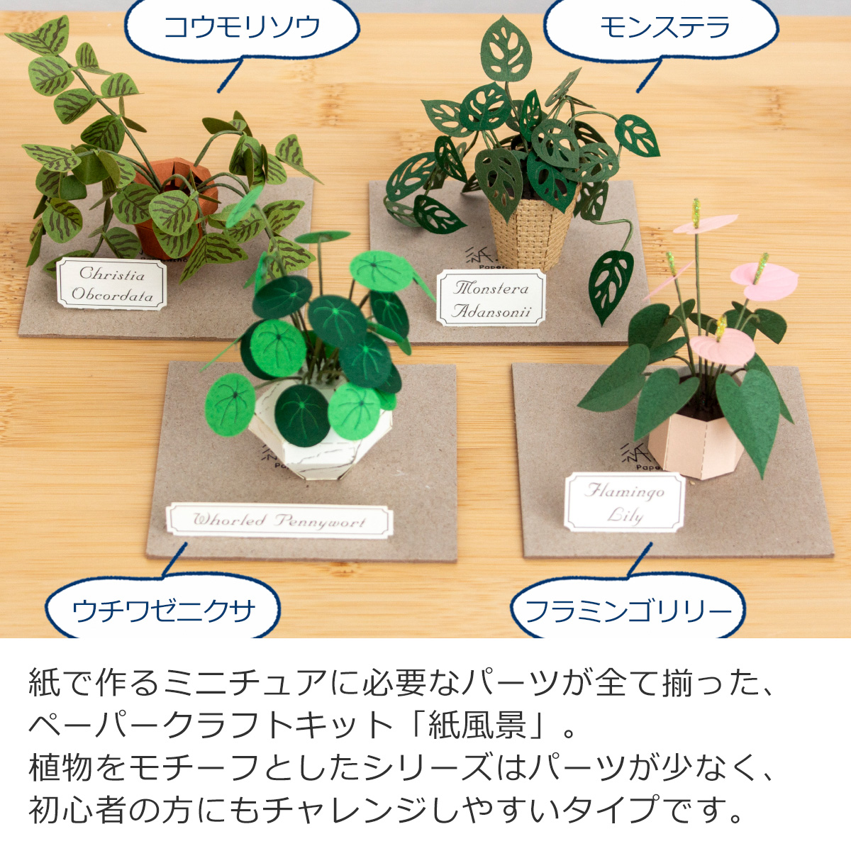商品画像8