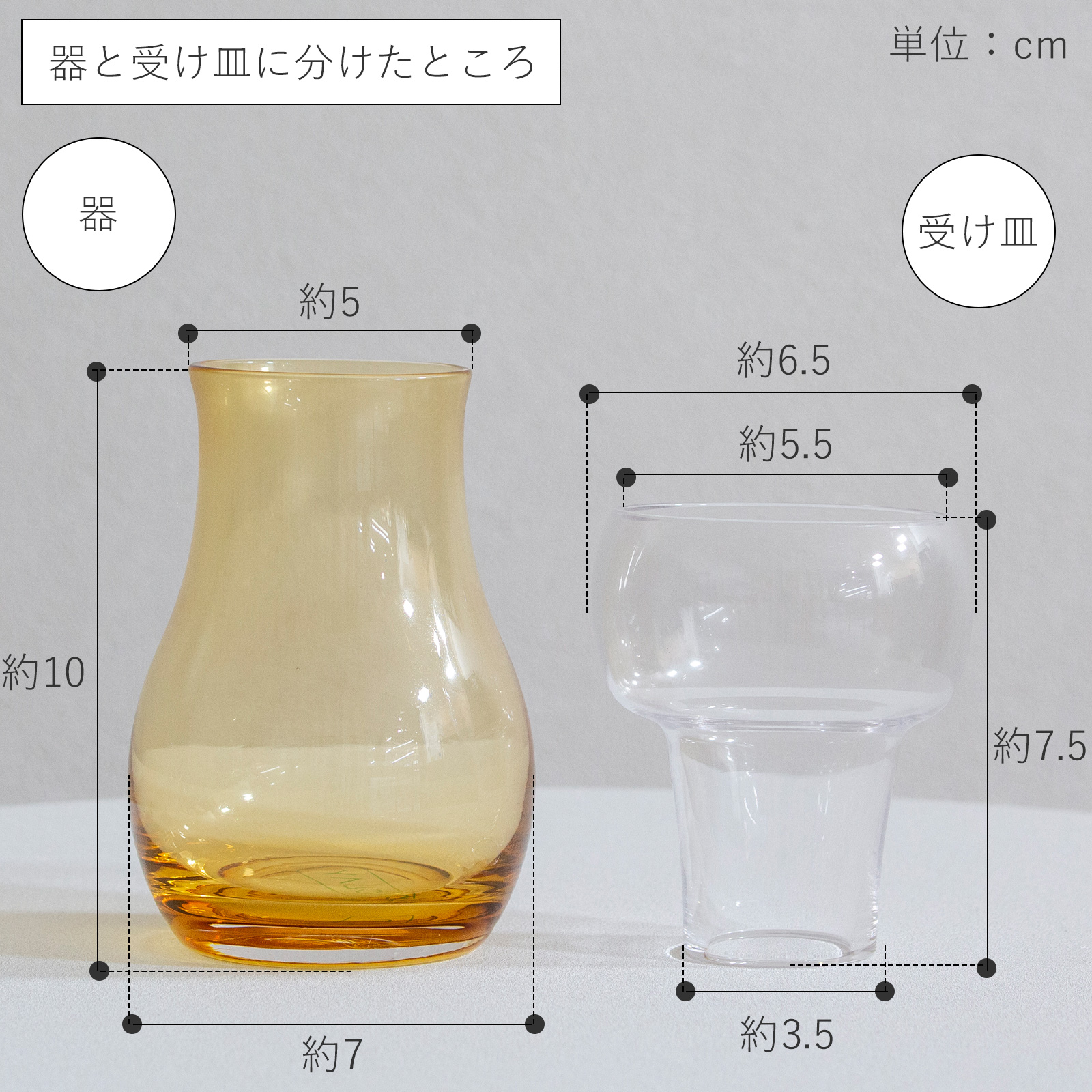 水耕栽培ガラスベース Bulbee S 花瓶 フラワーベース ガラス