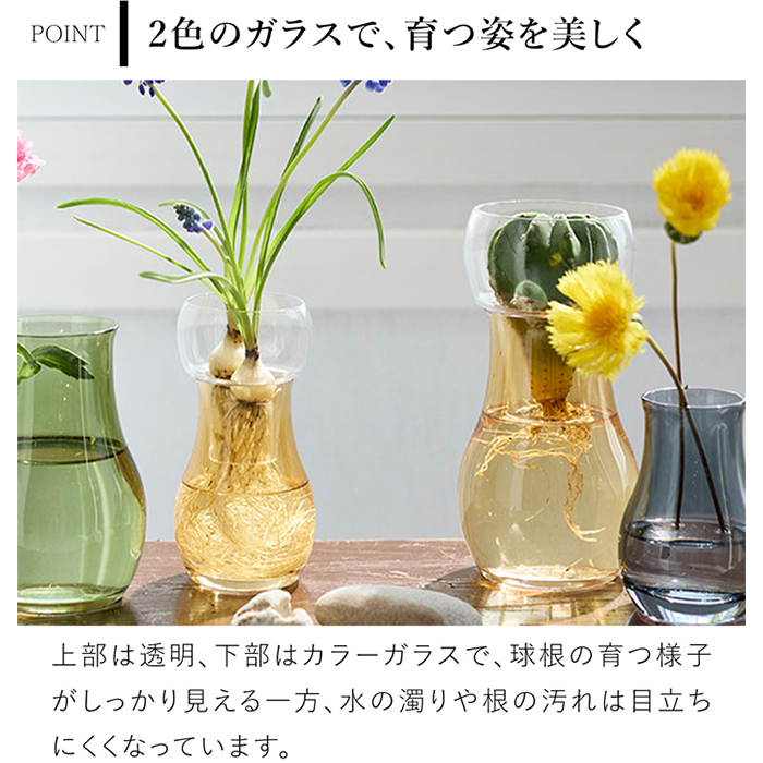 水耕栽培ガラスベース Bulbee L 花瓶 フラワーベース ガラス