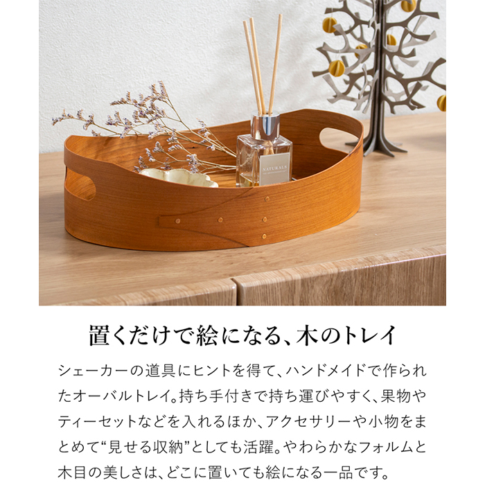 steadシェーカーハンドトレイ アクシス ホームステッド シェーカーボックス AXCIS Homestead アクシス シェーカー ハンドル