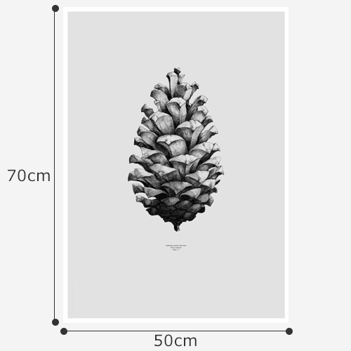 ポスター 北欧 50 70 Cm デンマーク アートポスター おしゃれ Paper Collective Pine Cone パインコーン 松ぼっくり モノトーン Favoritestyle