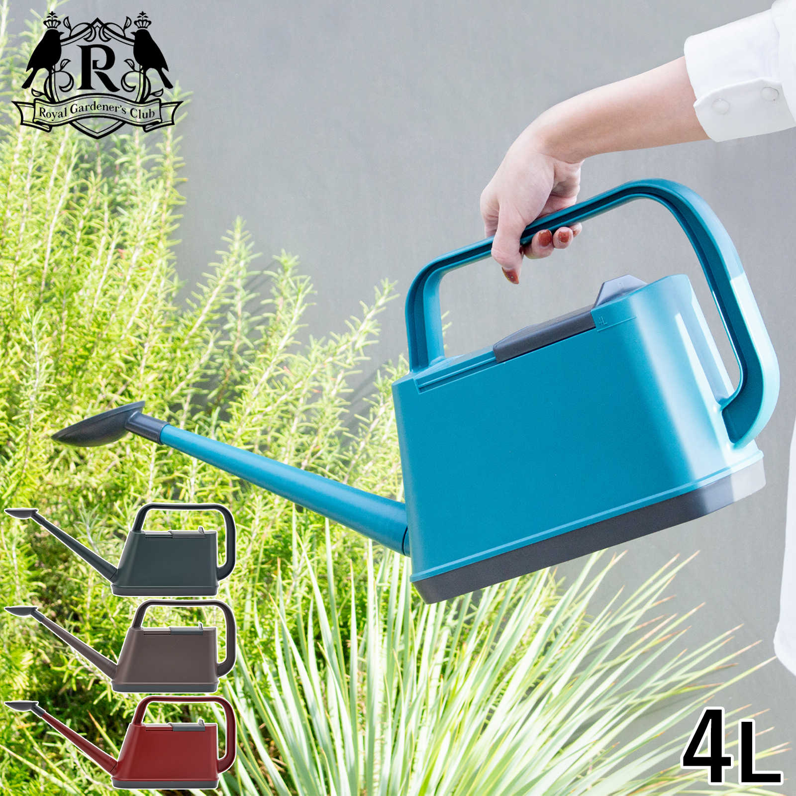 トップ堂　セット　 トップウォータースタイル トップ堂 セット トップウォータースタイル 【公式通販】