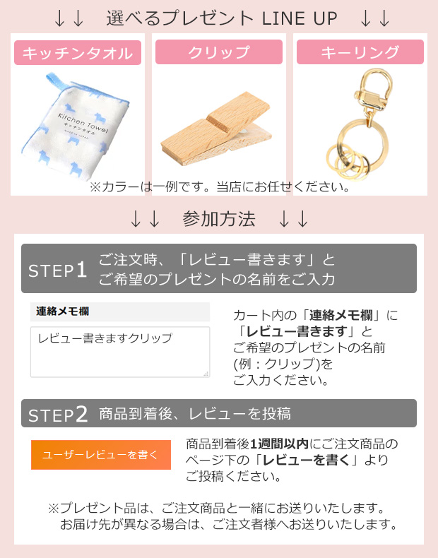 レビュープレゼント