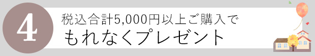 5000円以上お買い上げでプレゼント