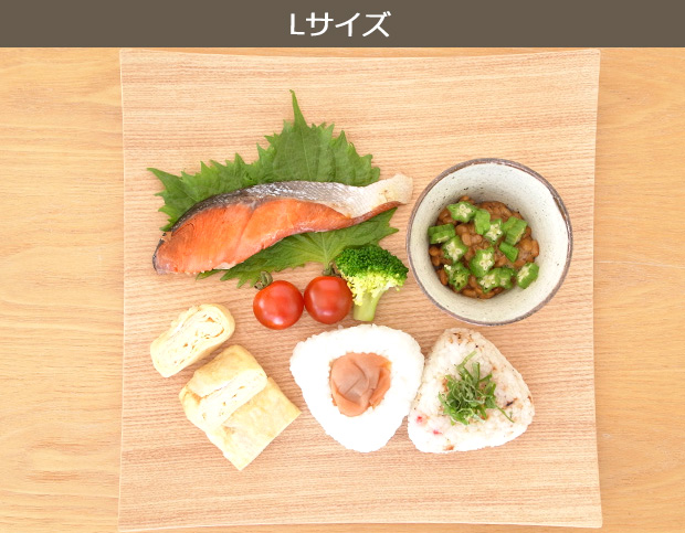 Dish Square L