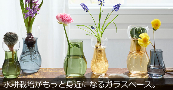 CLAY 水耕栽培ガラスベース Bulbee