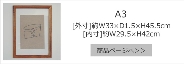 A3