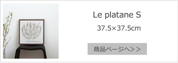 Le Platane S 37.5×37.5cm