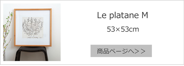 Le Platane M 53×53cm