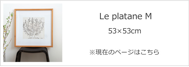 Le Platane M 53×53cm