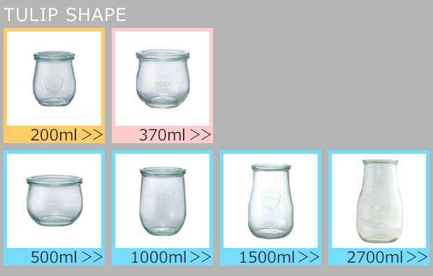 VARIATION