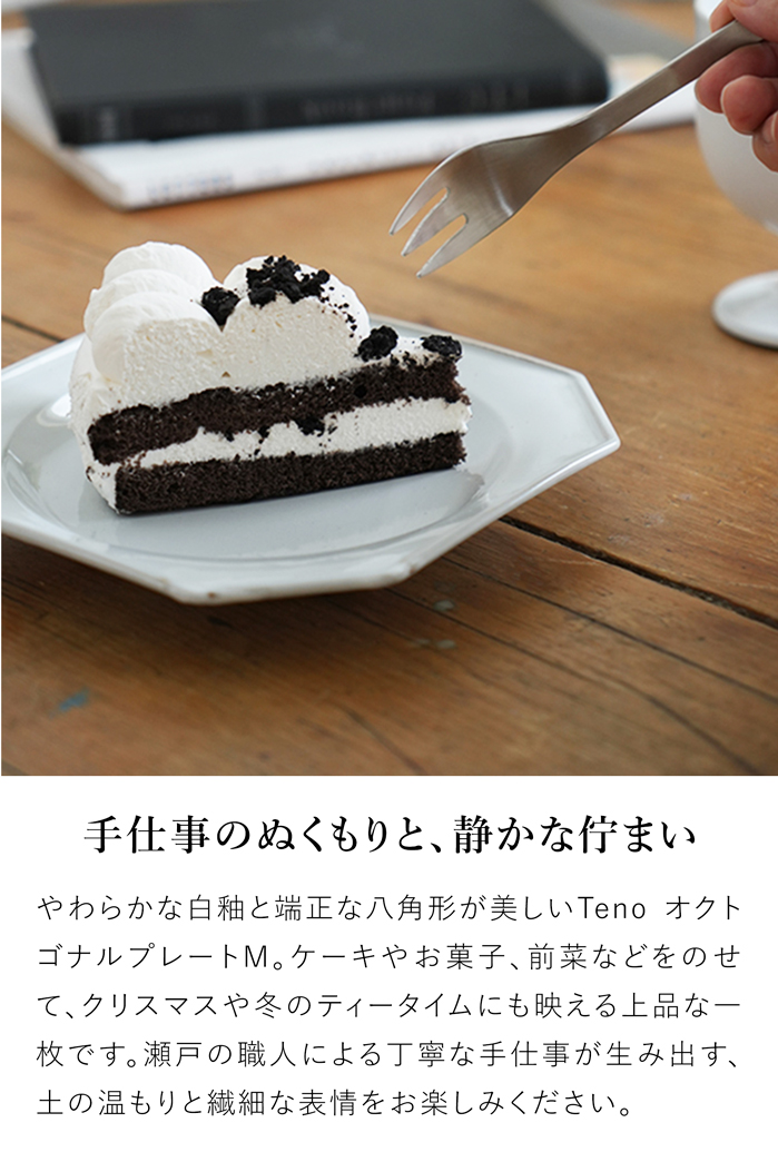 アクシス Teno オクトゴナルプレート M お皿 おしゃれ 食器 陶器 日本製 クラシック クリスマス テノ AXCIS