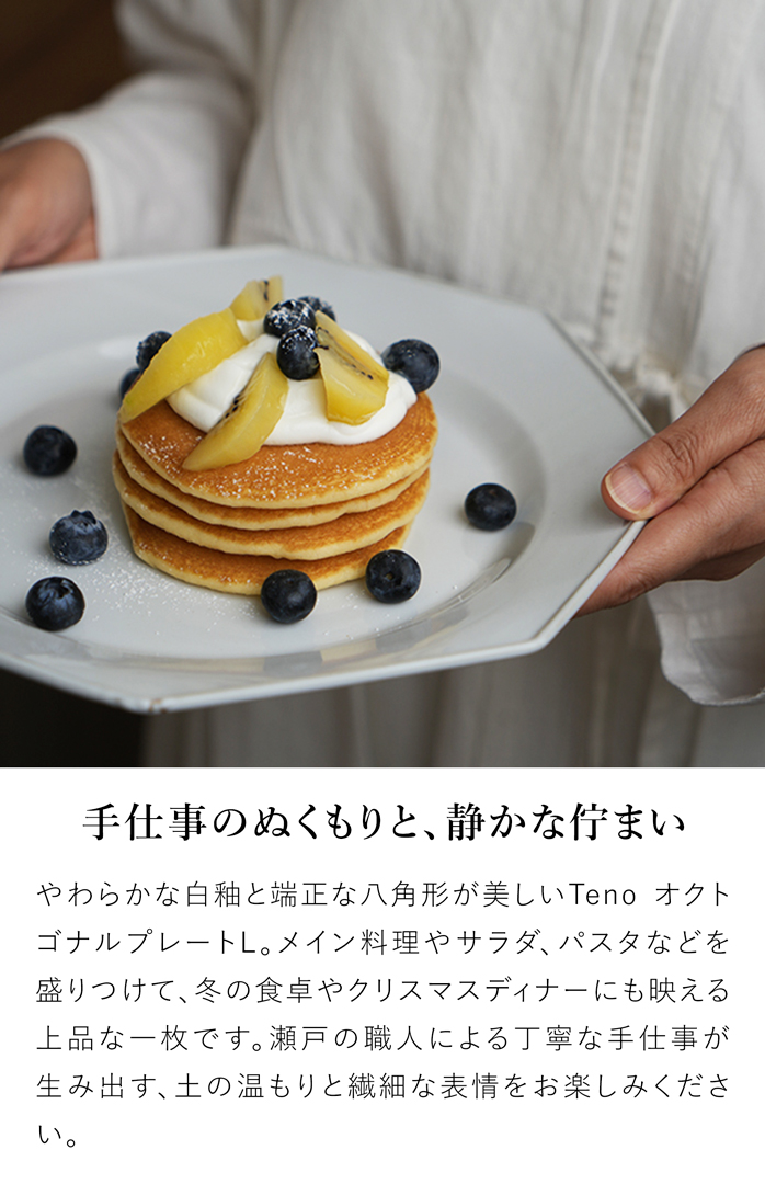 アクシス Teno オクトゴナルプレート L お皿 おしゃれ 食器 陶器 日本製 クラシック クリスマス テノ AXCIS
