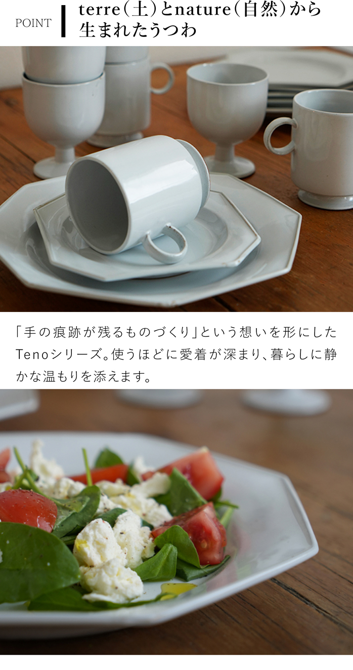 アクシス Teno オクトゴナルプレート L お皿 おしゃれ 食器 陶器 日本製 クラシック クリスマス テノ AXCIS