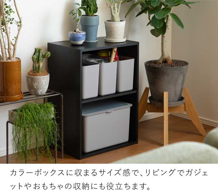 米びつ 10kg 5kg 3kg 収納ケース シンク下収納 保存容器 フタ付きストックケース インナーケース付き 日本製 ライクイット like-it